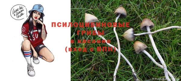 jwh Михайловка