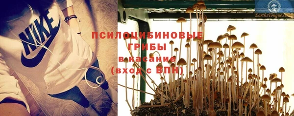спайс Алексеевка