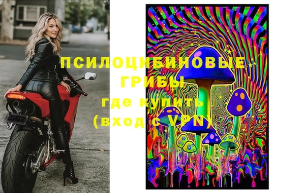 индика Алзамай