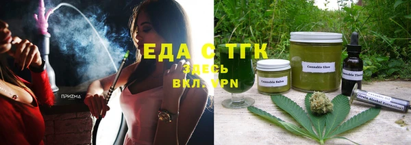 индика Алзамай