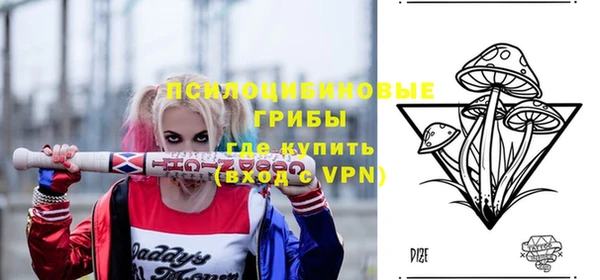 индика Алзамай