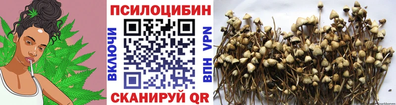 Галлюциногенные грибы мухоморы Красноярск