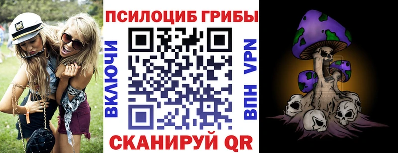 купить закладку  мега сайт  Псилоцибиновые грибы GOLDEN TEACHER  Красноярск 
